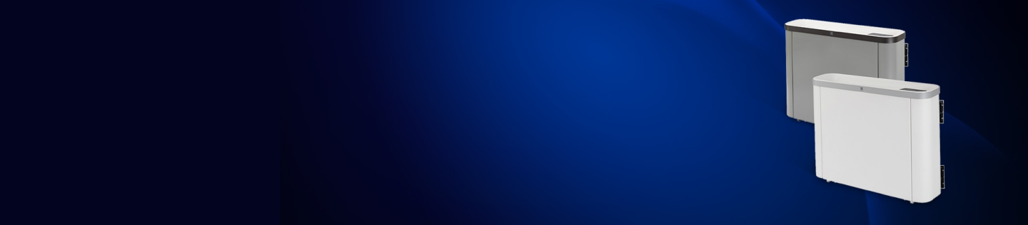 Through the wall dehumidifiers